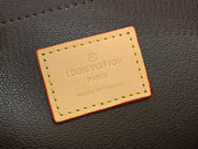 Looopix Louis Vuitton Damier Ebene Canvas Camera Women Bag
