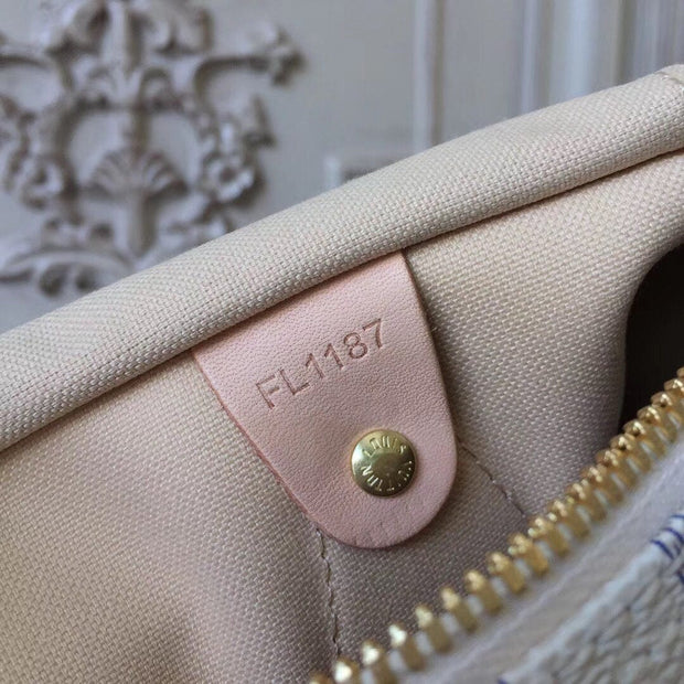 Looopix Louis Vuitton Speedy Bag in White Damier and Monogram Canvas