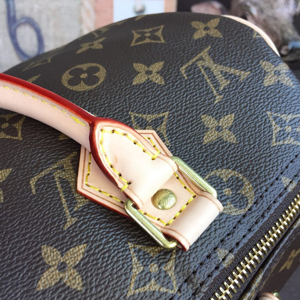 Looopix Louis Vuitton Speedy Bag - Monogram Canvas with Leather Trim