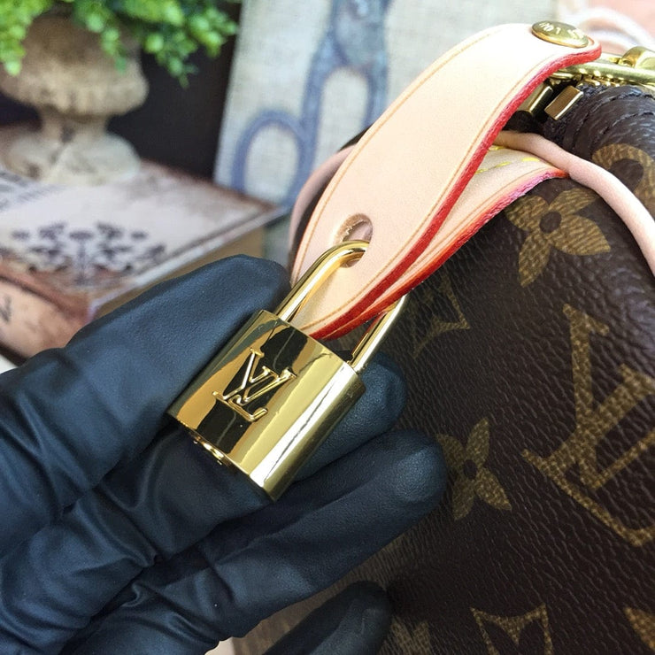 Looopix Louis Vuitton Speedy Bag - Monogram Canvas with Leather Trim