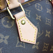 Looopix Louis Vuitton Speedy Bag - Monogram Canvas with Leather Trim