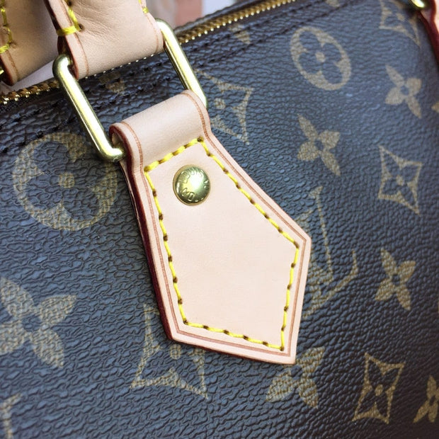Looopix Louis Vuitton Speedy Bag - Monogram Canvas with Leather Trim