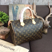 Looopix Louis Vuitton Speedy Bag - Monogram Canvas with Leather Trim