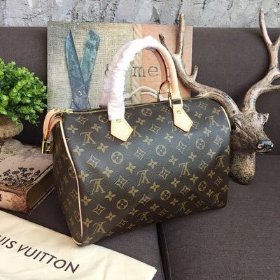 Looopix Louis Vuitton Speedy Bag - Monogram Canvas with Leather Trim