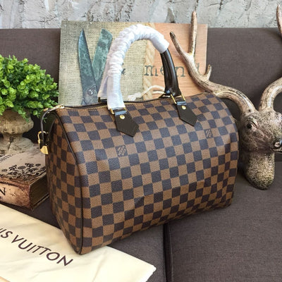 Looopix Louis Vuitton Speedy Damier Canvas Bag