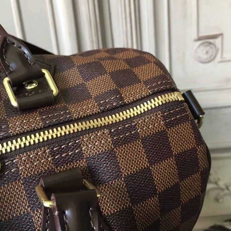 Looopix Louis Vuitton Speedy Handbag Collection